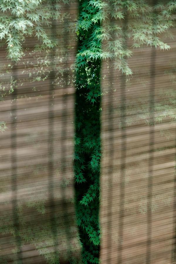 Mysa Hakone Villa ภายนอก รูปภาพ